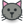 cat2.png