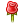 emoticon Rose